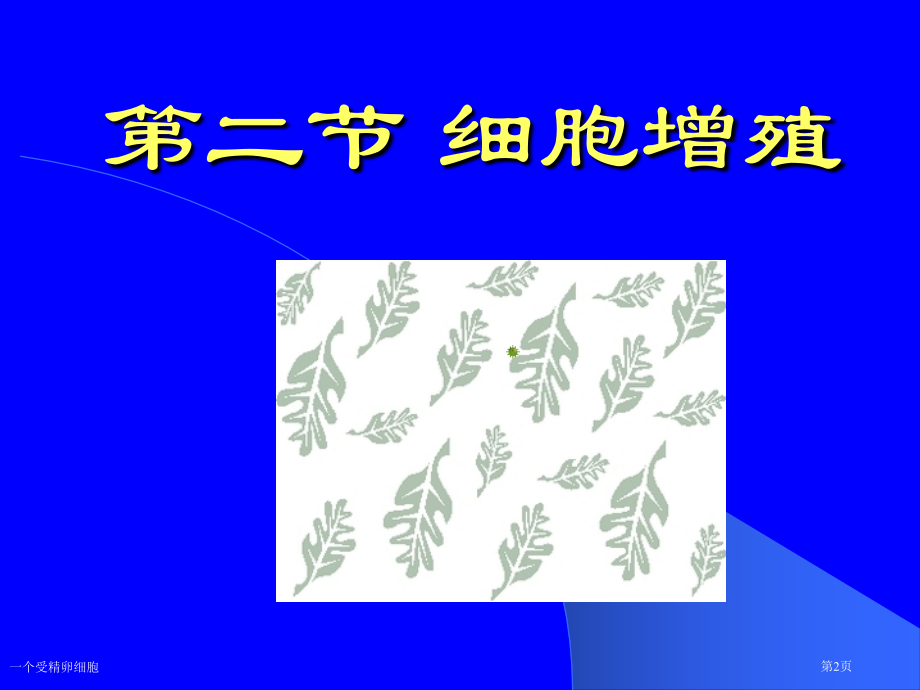 一个受精卵细胞.pptx_第2页