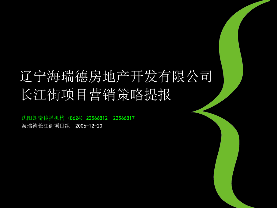 长江街项目营销策略提报课件.ppt_第2页