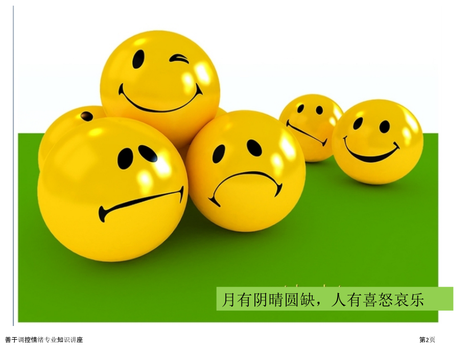 善于调控情绪专业知识讲座.pptx_第2页