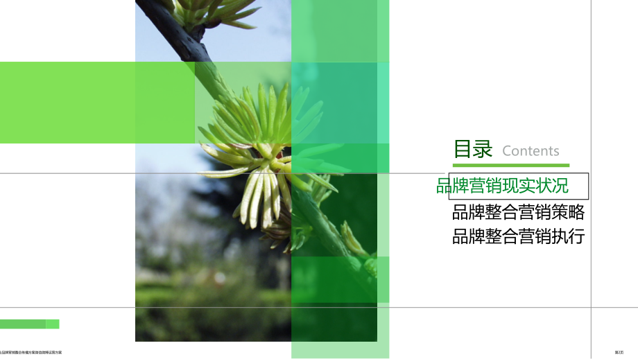 企业品牌营销整合传播方案微信微博运营方案.pptx_第2页