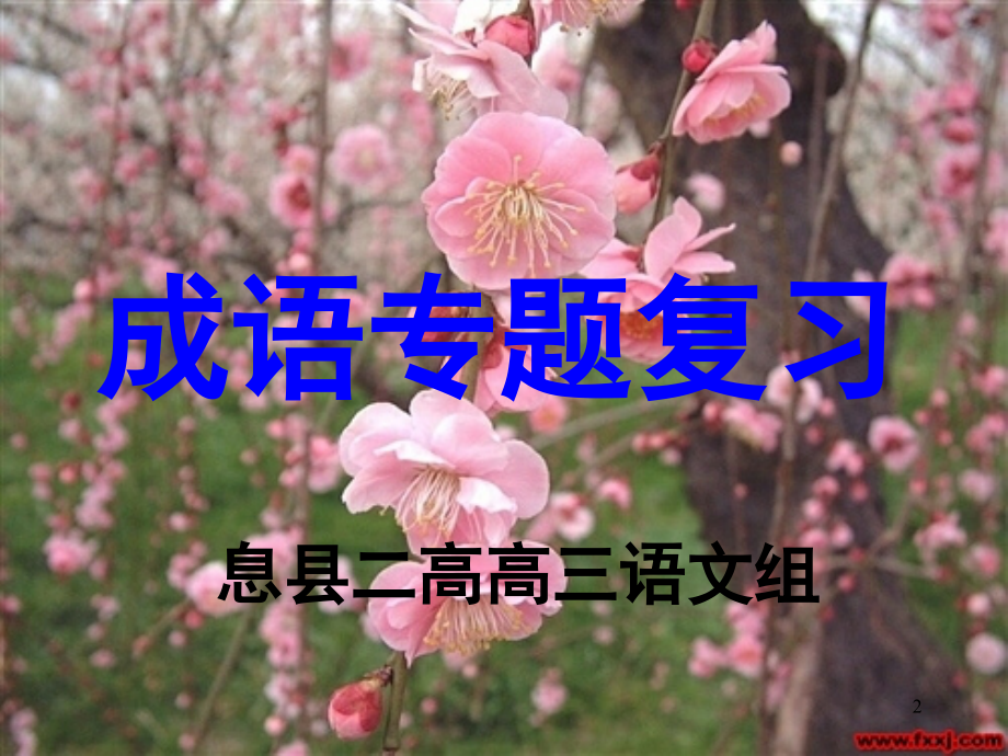 高三成语复习(课堂PPT).ppt_第2页