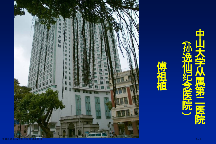 口服降糖药物作用机制及临床应用.pptx_第2页