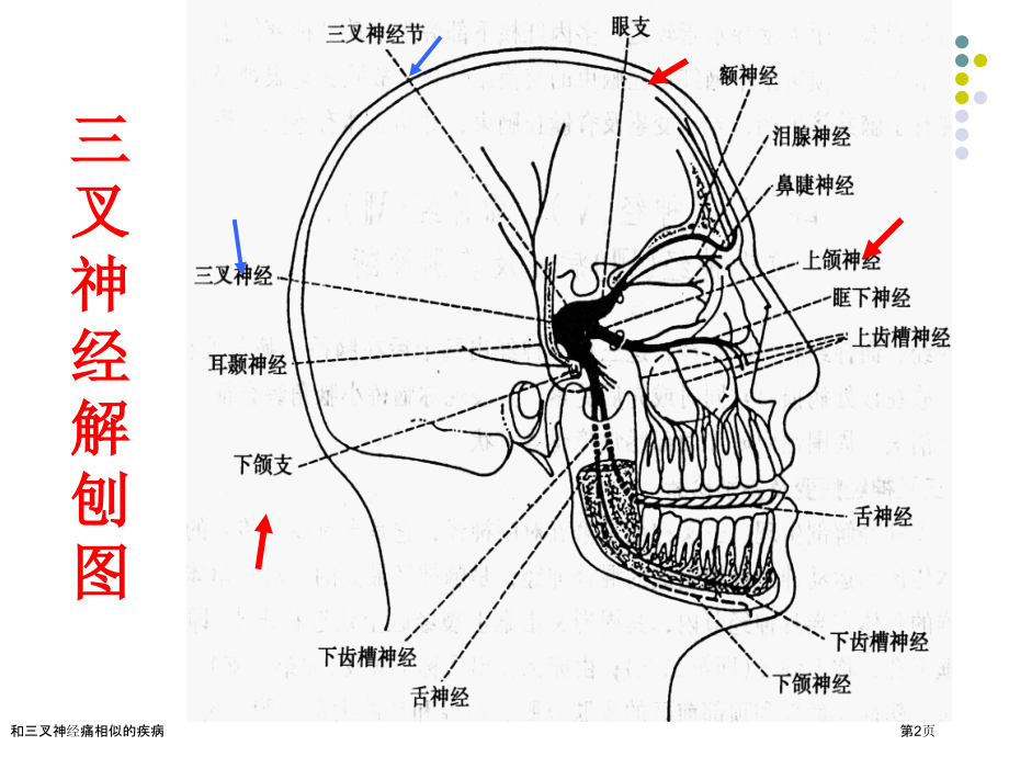 和三叉神经痛相似的疾病.pptx_第2页