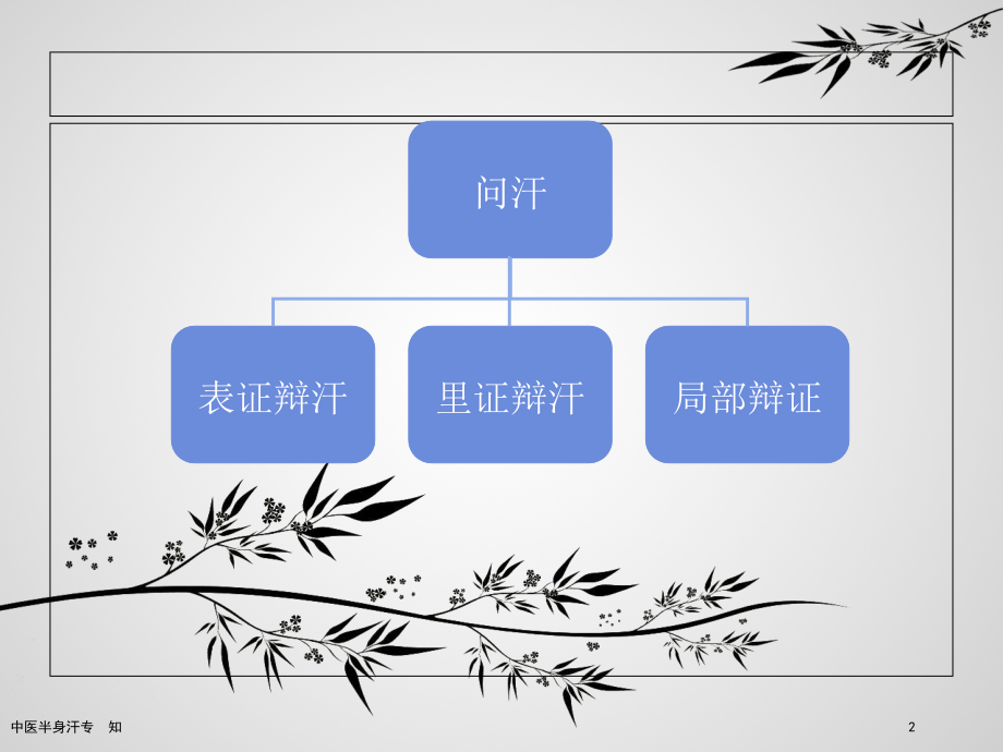 中医半身汗专题知识讲座.pptx_第2页