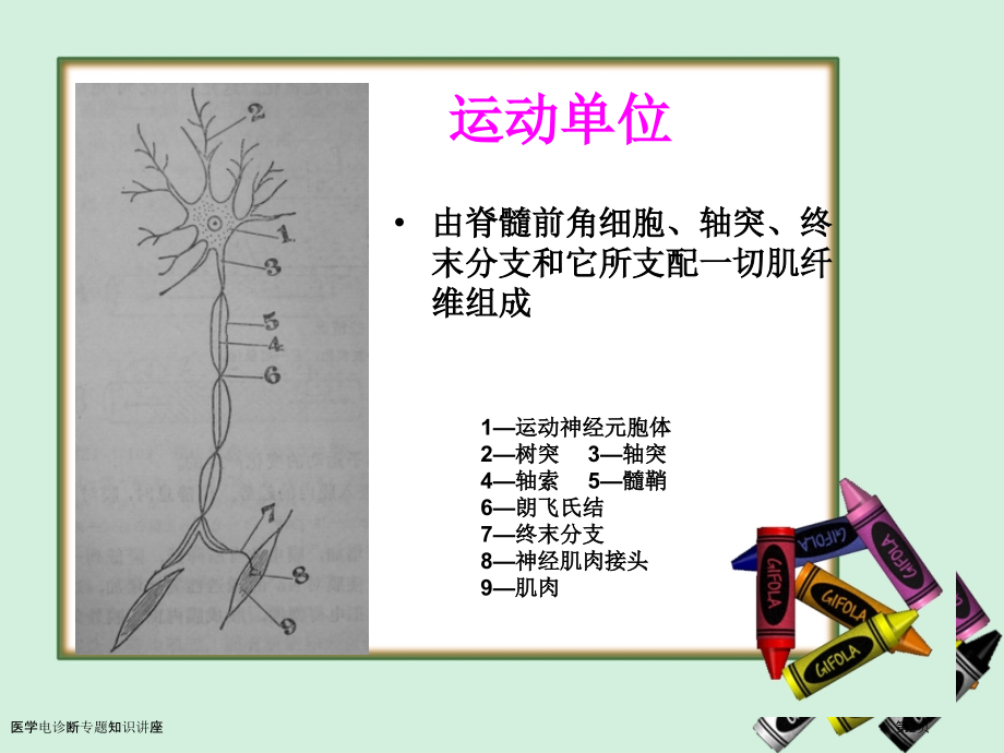 医学电诊断专题知识讲座.pptx_第2页