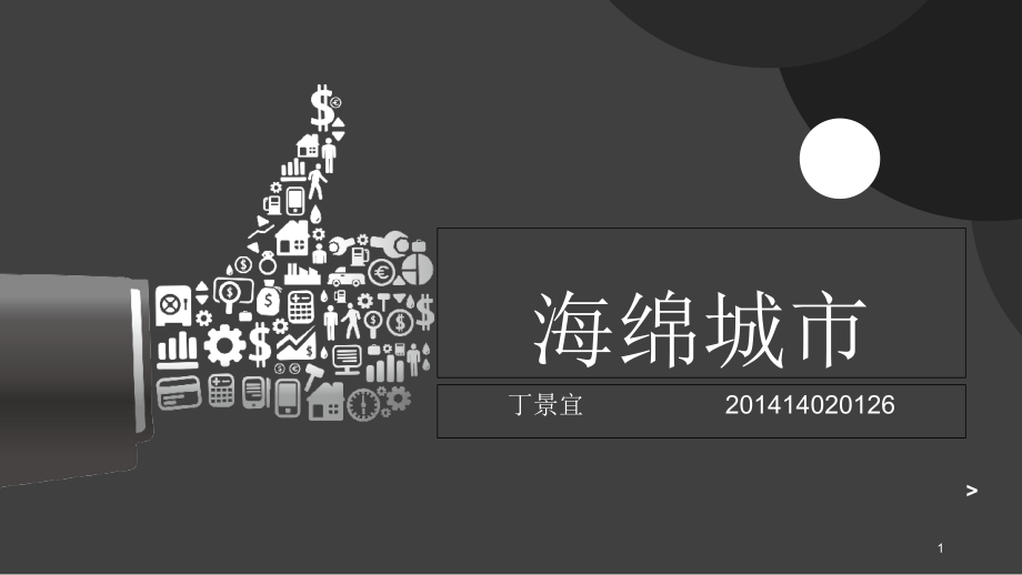 海绵城市-案例分析优秀课件.ppt_第1页
