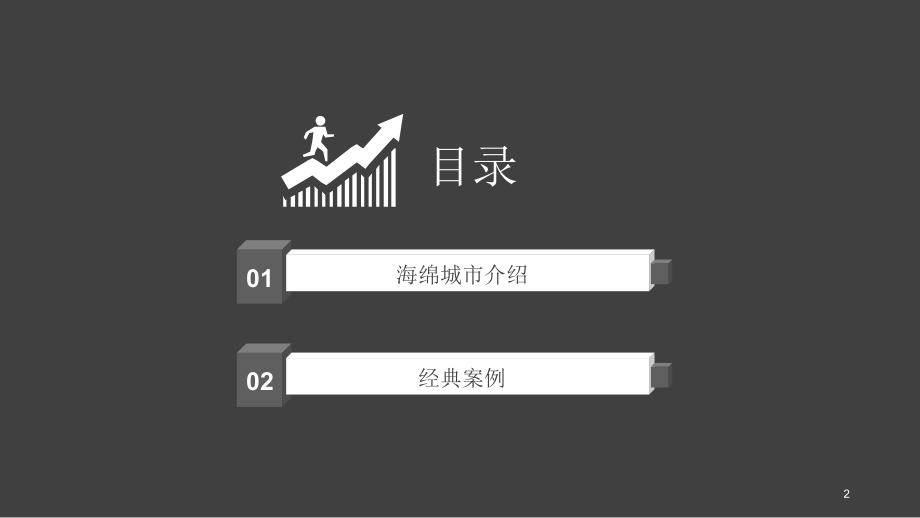 海绵城市-案例分析优秀课件.ppt_第2页