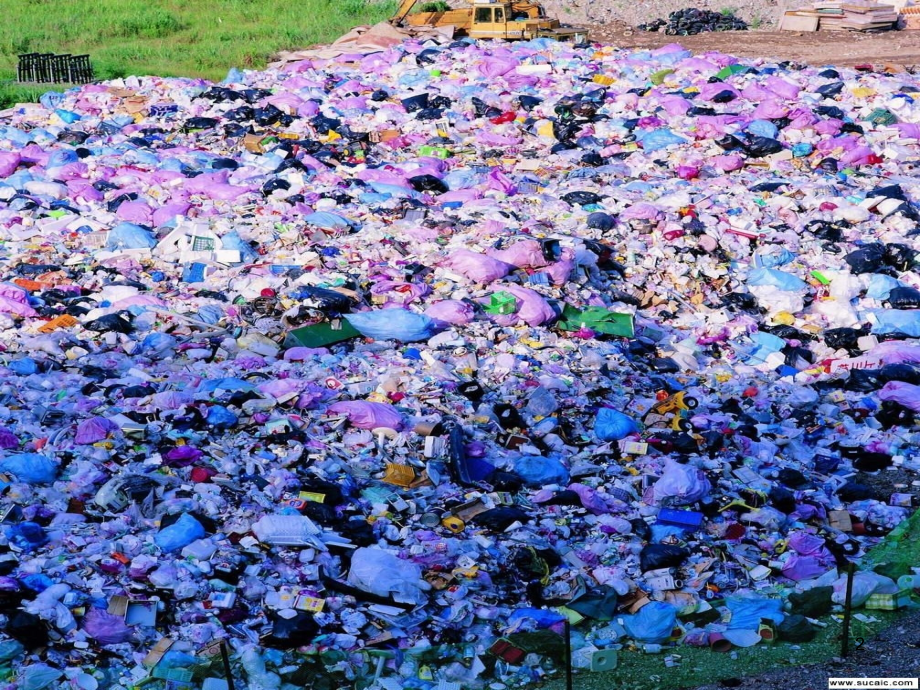 珍惜我们的家园.ppt_第2页