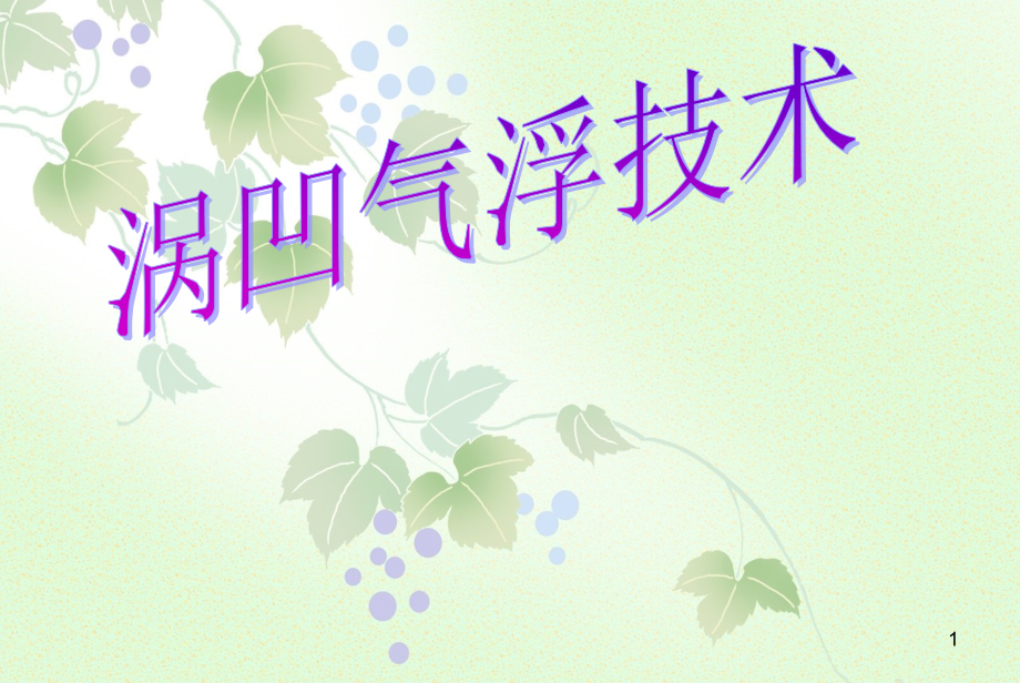 涡凹气浮技术演示幻灯片.ppt_第1页