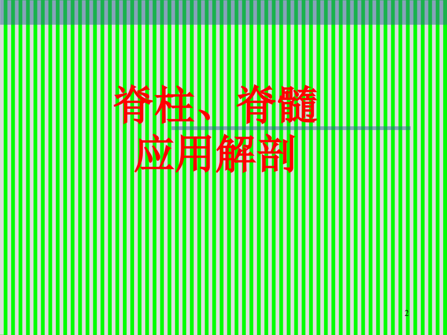脊柱解剖图(颈胸腰椎)课件.ppt_第2页