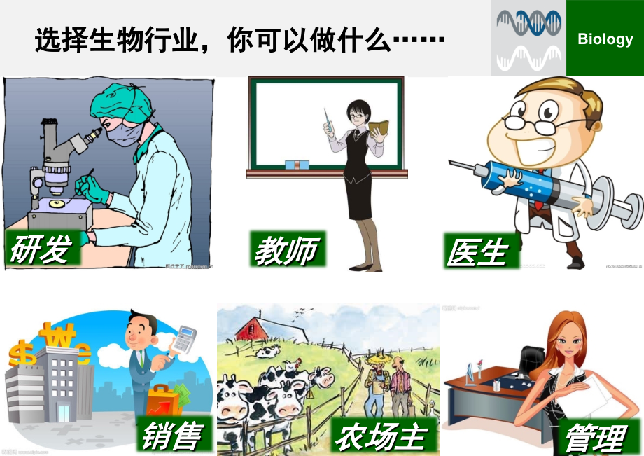 生物类专业就业前景分析(课堂PPT).ppt_第2页