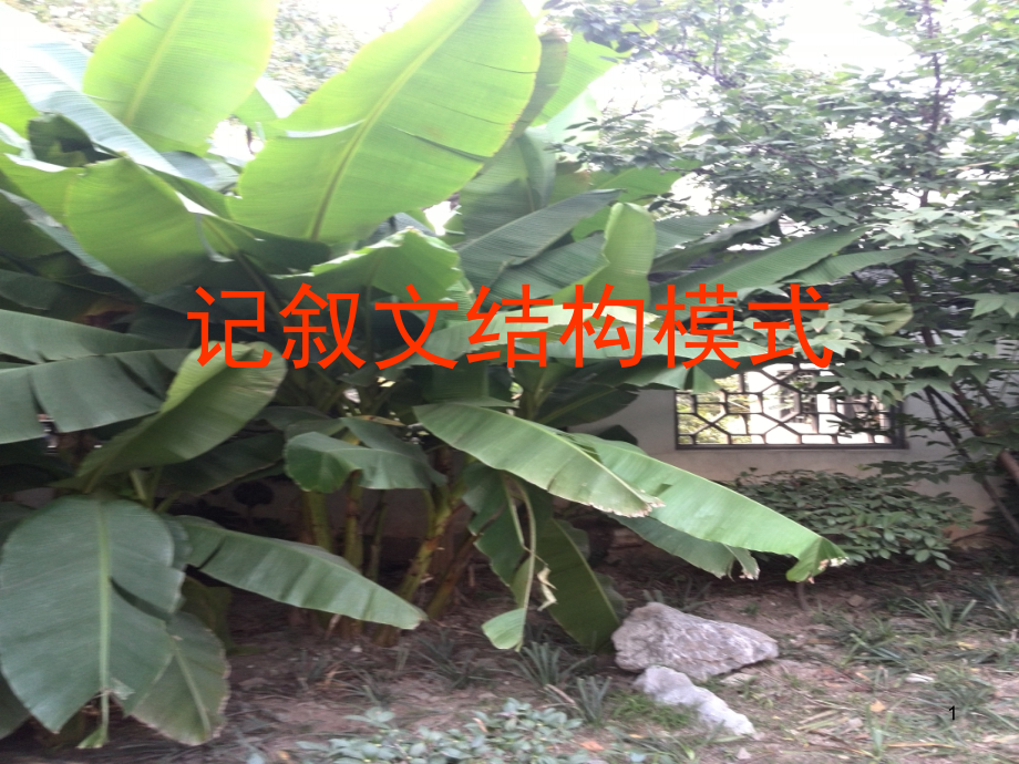 记叙文的结构模式.ppt_第1页