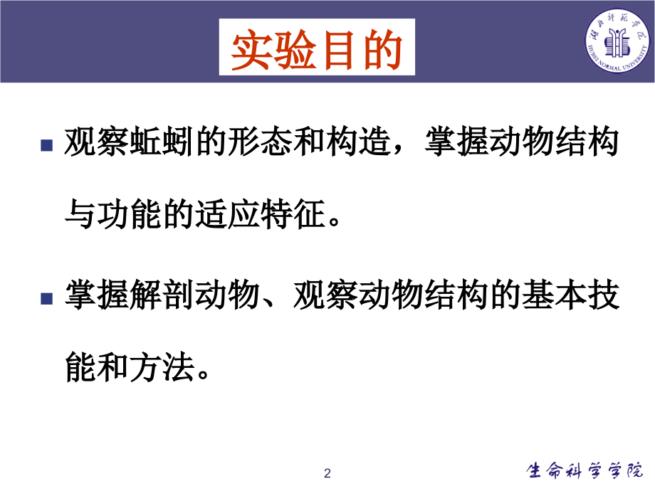 蚯蚓的观察与解剖.ppt_第2页