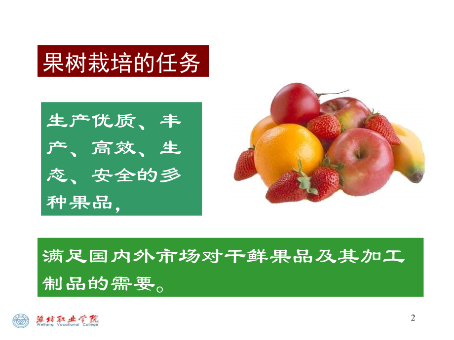 果树栽培PPT学习课件.ppt_第2页