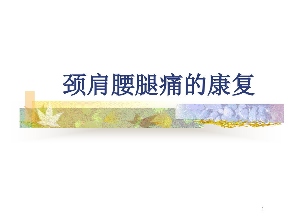 颈肩腰腿痛的康复幻灯片.ppt_第1页