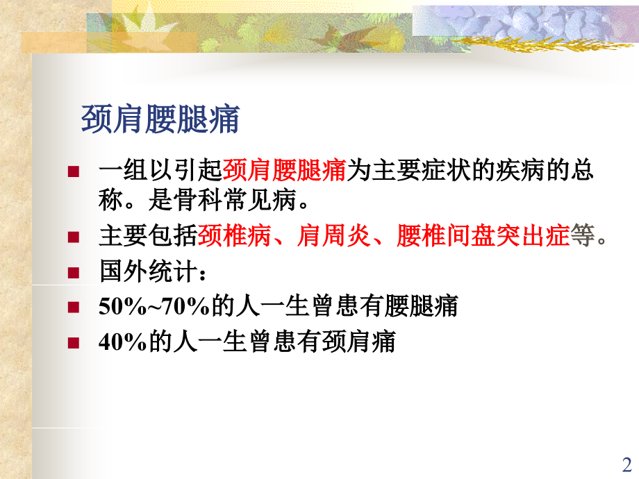 颈肩腰腿痛的康复幻灯片.ppt_第2页