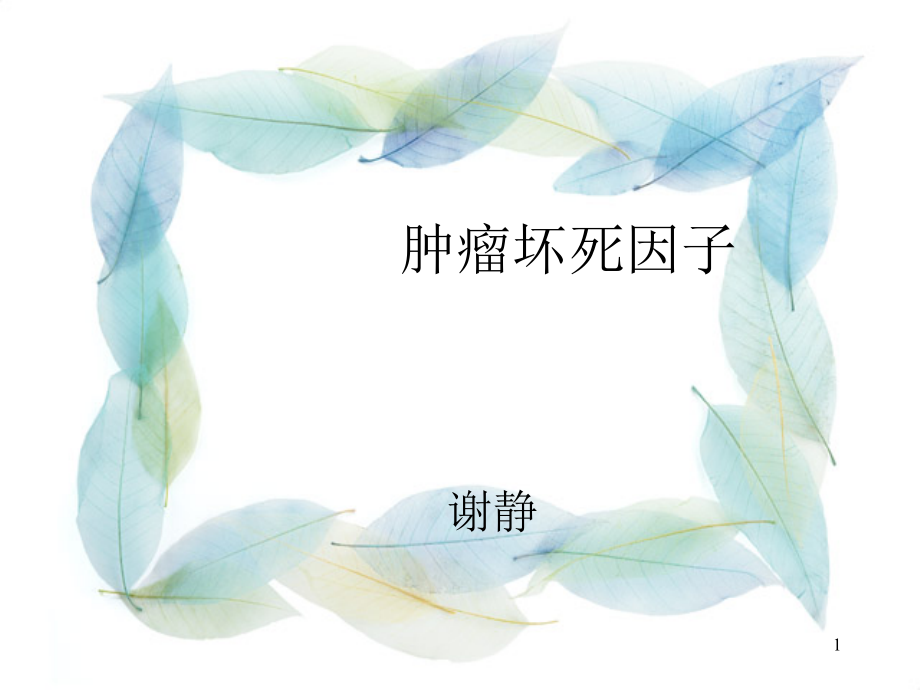 肿瘤坏死因子演示课件.ppt_第1页