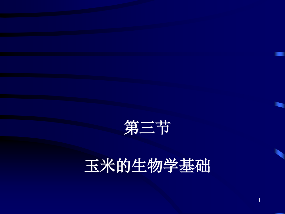 玉米生物学基础.ppt_第1页