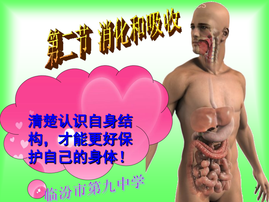 消化和吸收人教版(课堂PPT).ppt_第1页
