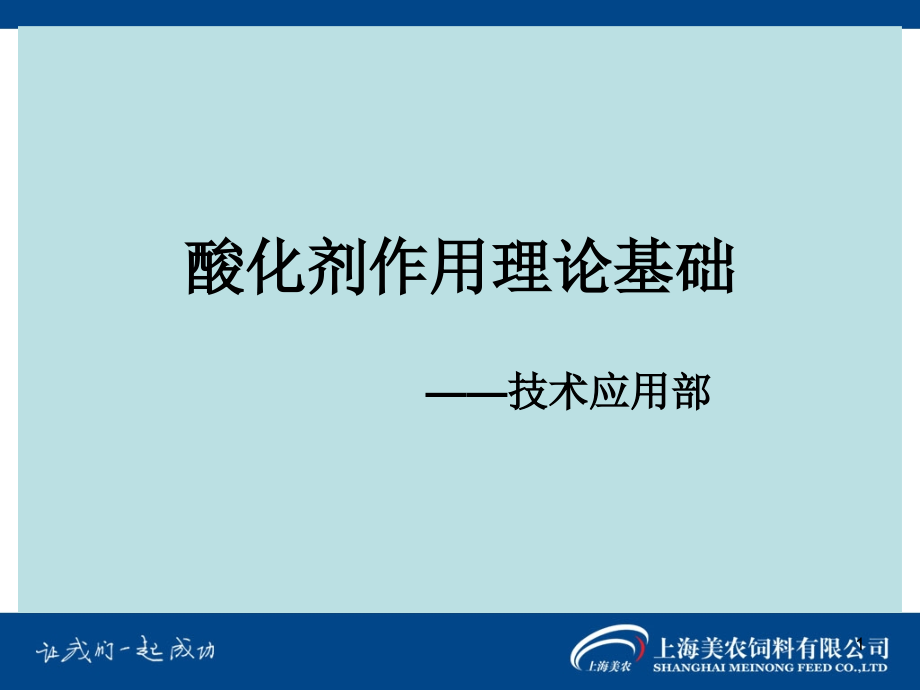 酸化剂作用理论基础.ppt_第1页