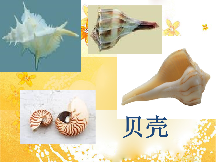 贝壳-PPT学习课件.ppt_第2页
