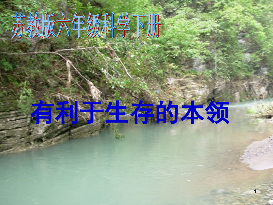苏教版小学科学六年级下册《有利于生存的本领》(课堂PPT).ppt_第1页