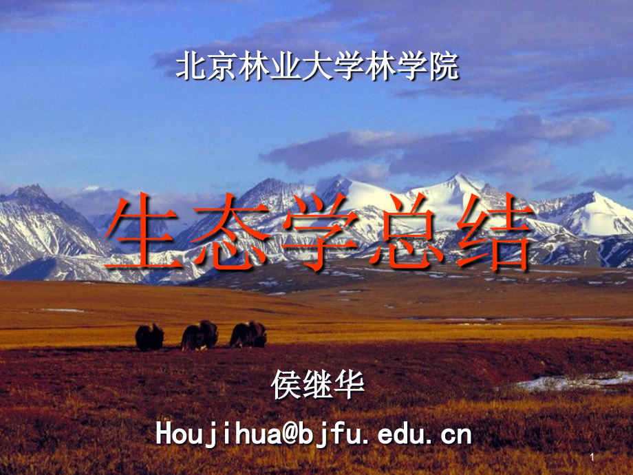 生态学总结.ppt_第1页
