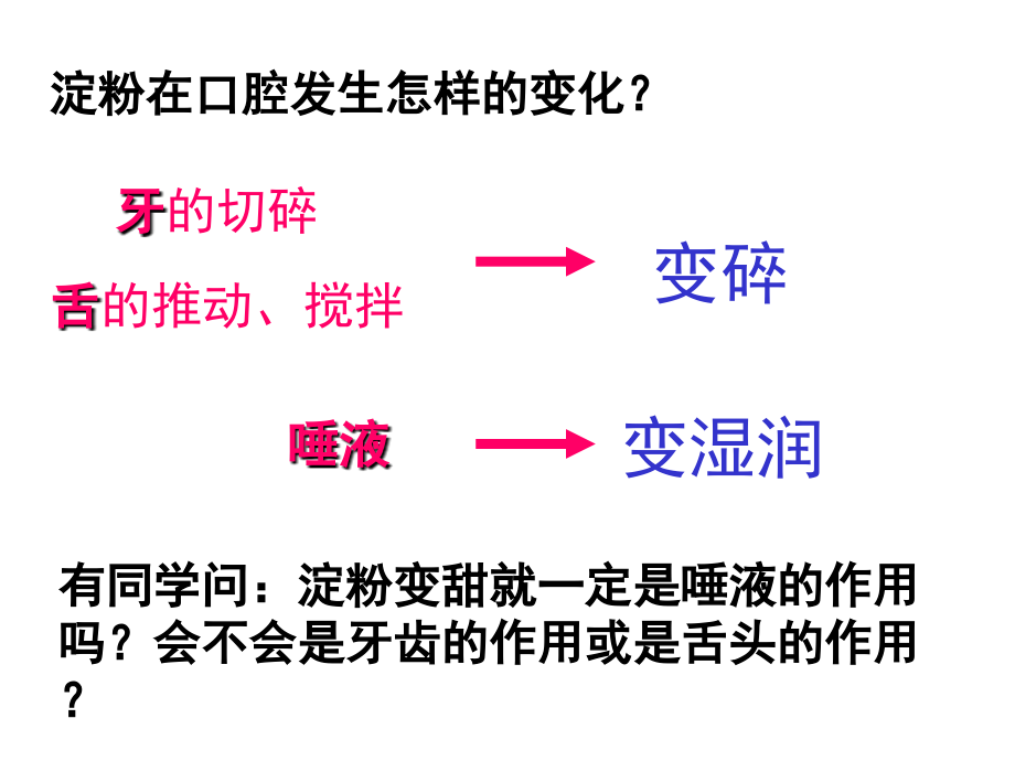 淀粉在口腔中的消化(课堂PPT).ppt_第2页