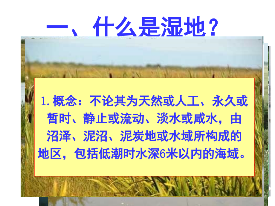 湿地干涸及其恢复(课堂PPT).ppt_第2页