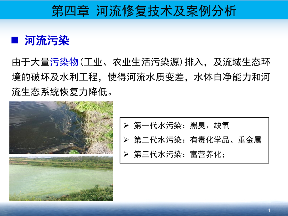 河流修复技术及案例分析演示幻灯片.ppt_第1页