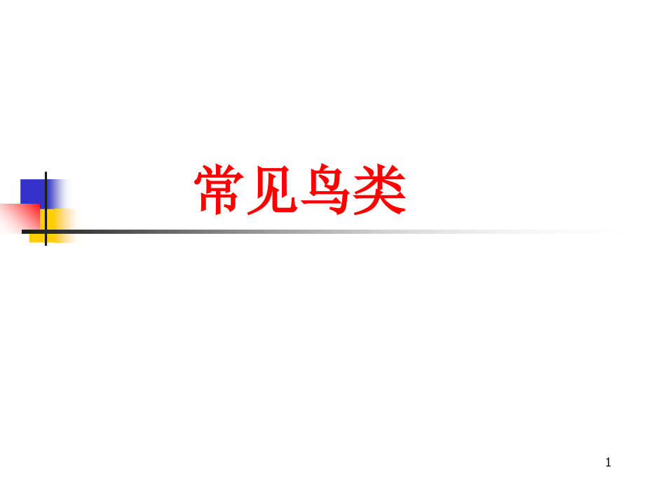 看图识鸟.ppt_第1页