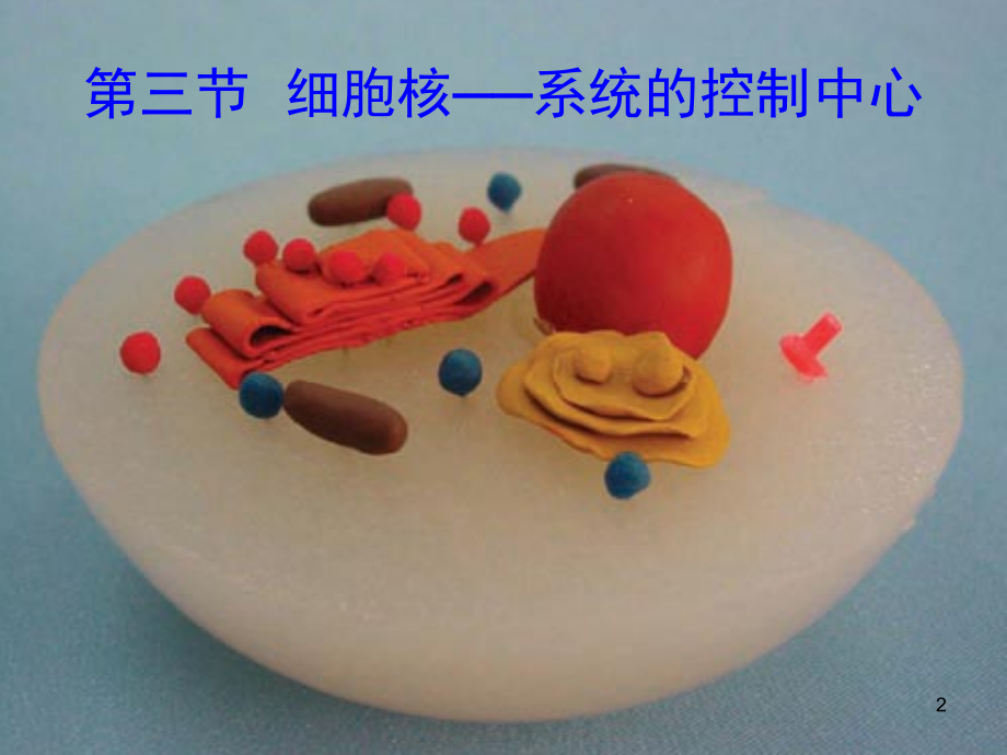 细胞核系统的控制中心(课堂PPT).ppt_第2页