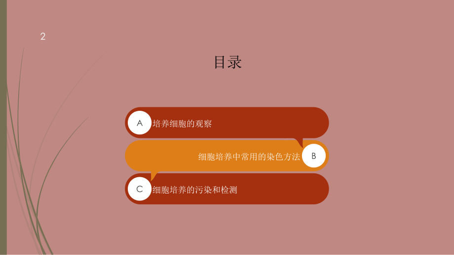 细胞培养的基本方法课件.ppt_第2页