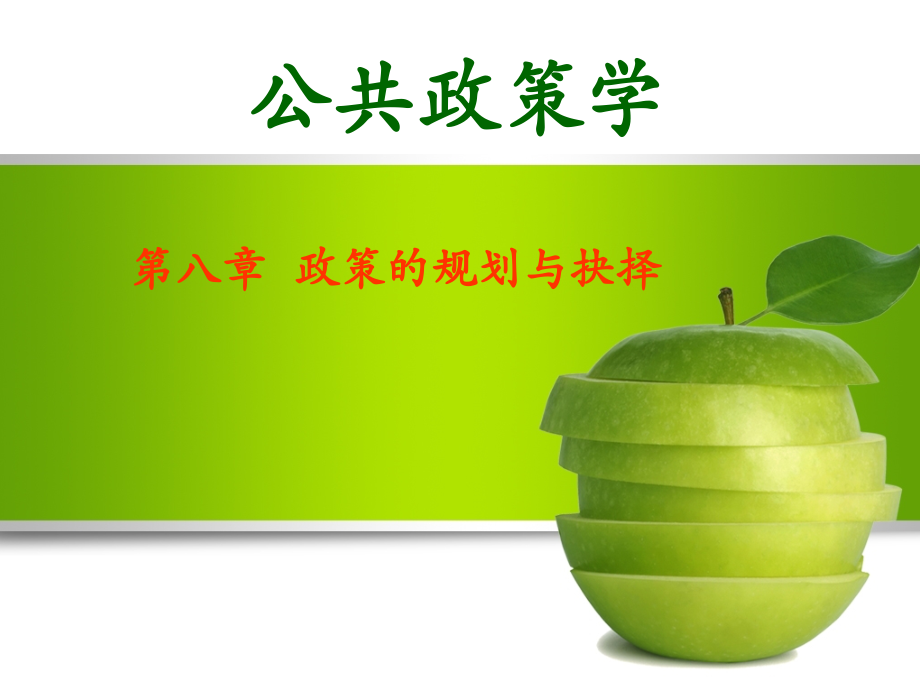 第八章-政策方案的规划与抉择(课堂PPT).ppt_第1页