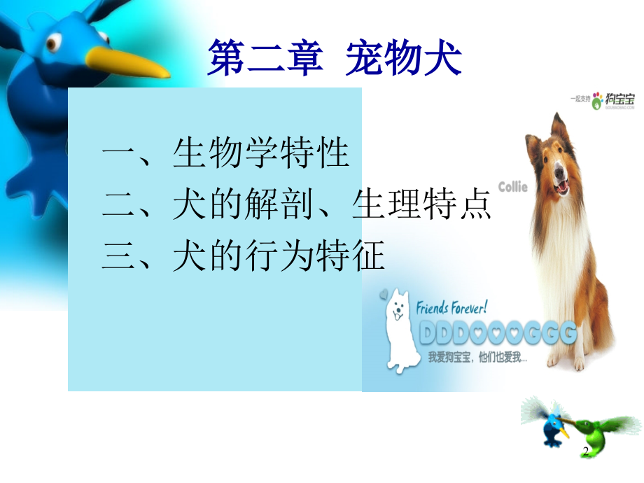 犬的解剖生理特点等.ppt_第2页