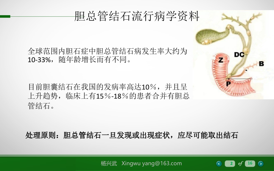 胆总管一期缝合(课堂PPT).ppt_第2页