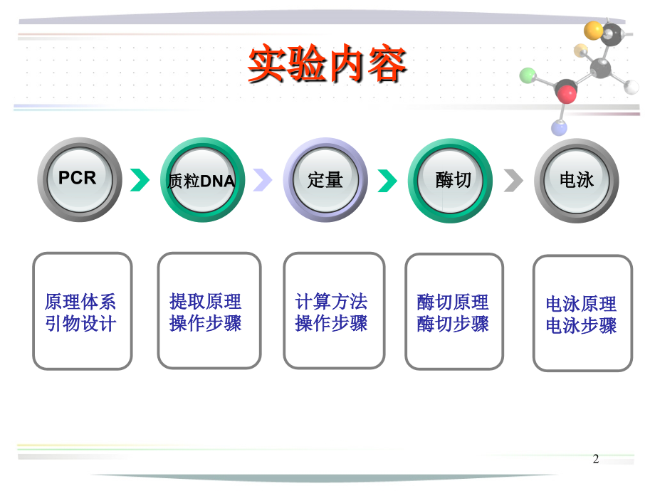 质粒DNA的提取与鉴定.ppt_第2页
