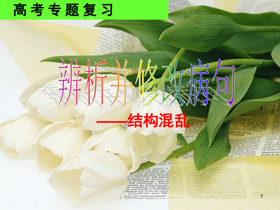 辨析并修改病句之结构混乱.ppt_第1页