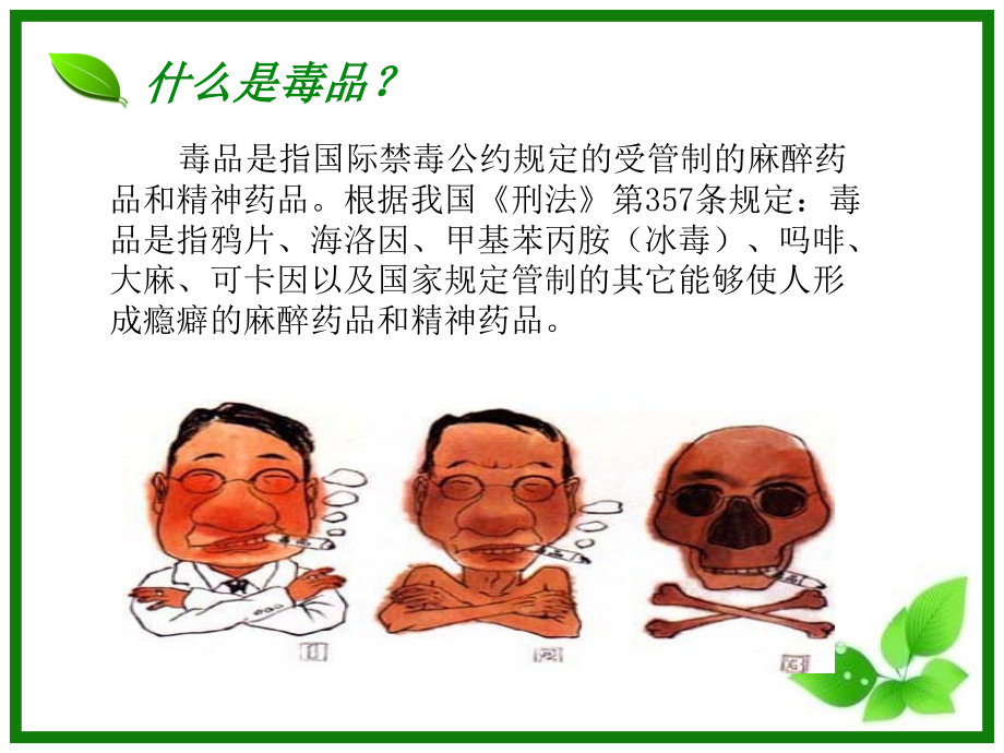 禁毒宣传片--ppt.ppt_第2页