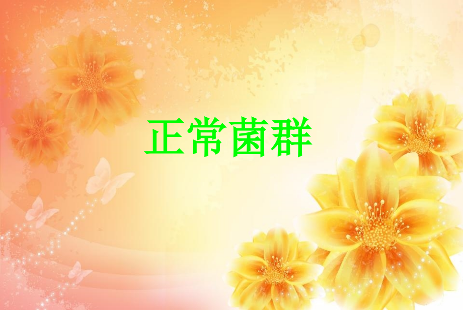 正常菌群肠道菌群.ppt_第1页