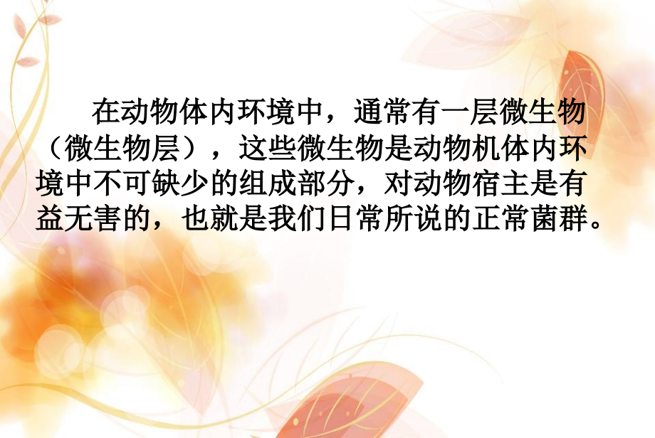 正常菌群肠道菌群.ppt_第2页