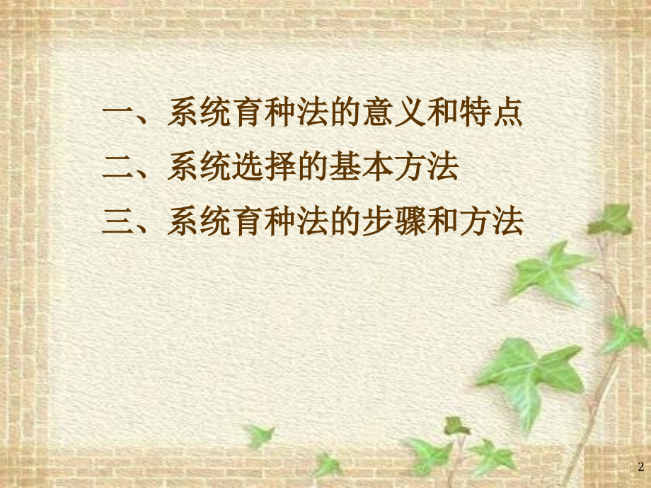 系统育种方法.ppt_第2页