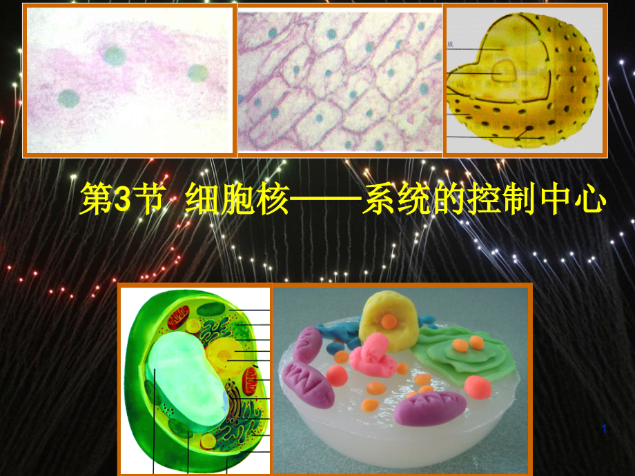 细胞核-系统的控制中心.ppt_第1页