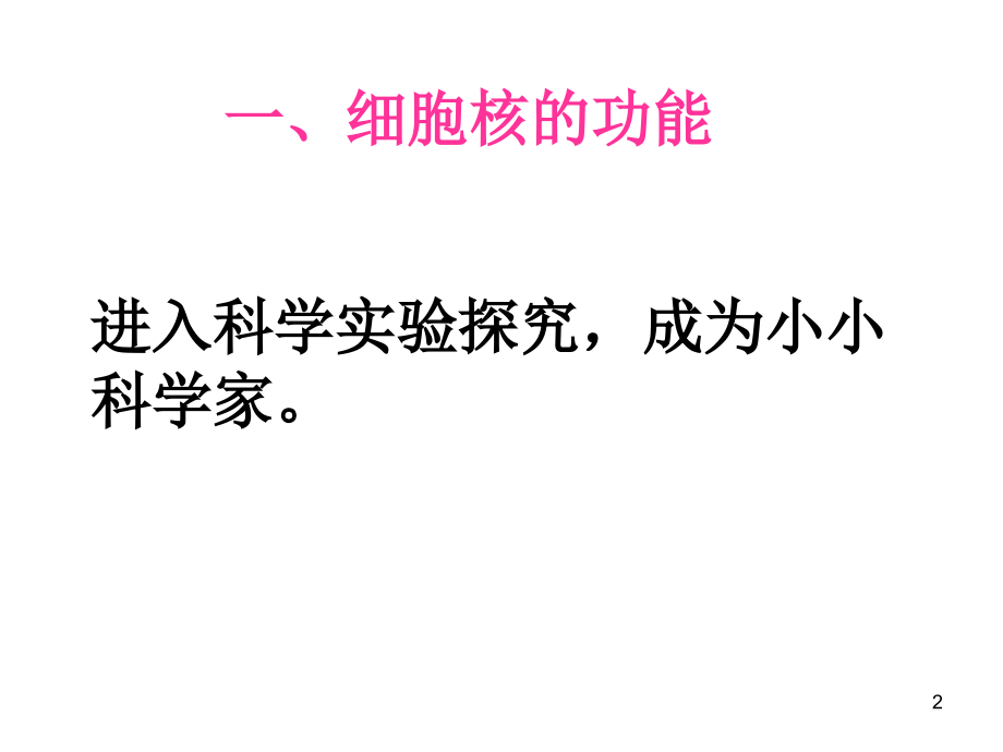 细胞核-系统的控制中心.ppt_第2页