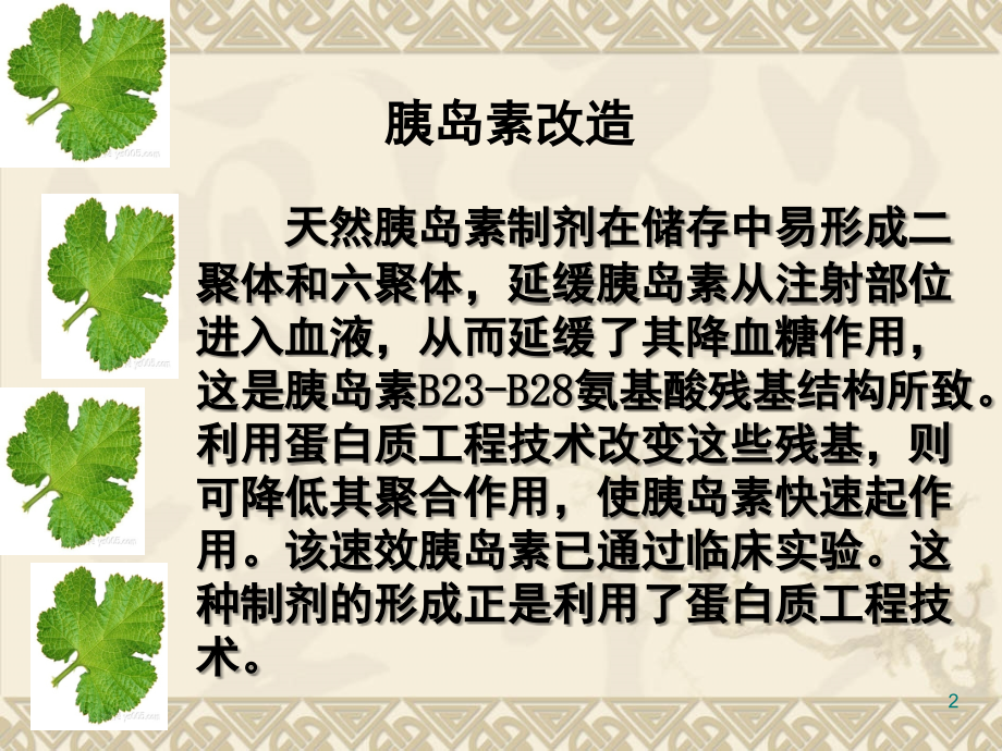 蛋白质工程的崛起(讲课).ppt_第2页