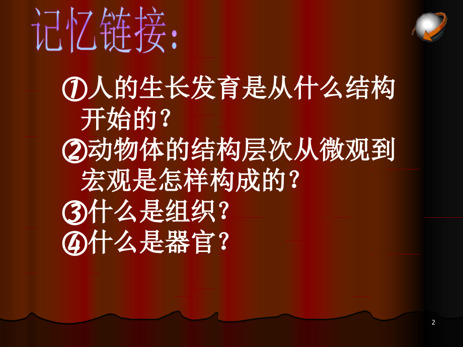 植物细胞结构层次.ppt_第2页