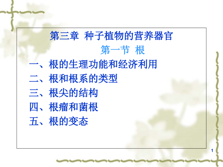 植物营养器官.ppt_第1页