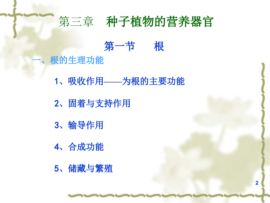植物营养器官.ppt_第2页