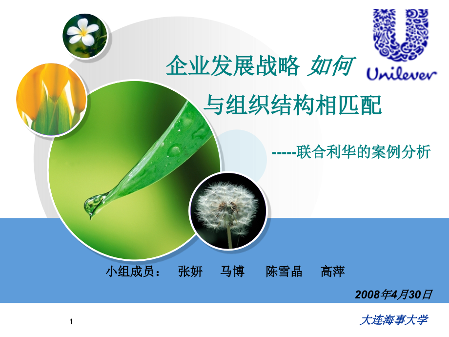 联合利华的发展战略与组织结构案例分析(课堂PPT).ppt_第1页