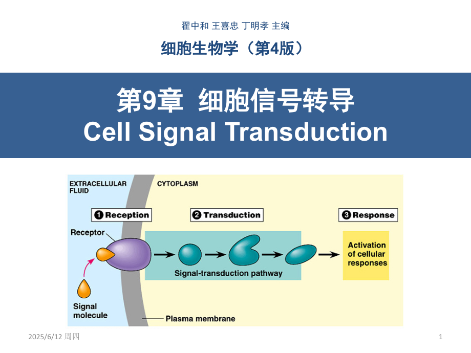 细胞生物学第9章-细胞信号转导PPT参考课件.ppt_第1页